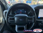 2025 F-150 Thumbnail 13