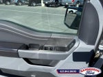 2025 F-150 Thumbnail 11