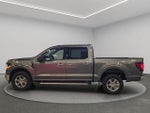 2025 F-150 Thumbnail 3