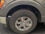2025 F-150 Thumbnail 24