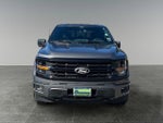 2025 F-150 Thumbnail 3