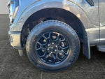 2025 F-150 Thumbnail 4