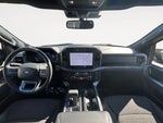 2025 F-150 Thumbnail 11