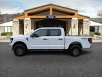 2025 F-150 Thumbnail 5