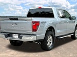 2025 F-150 Thumbnail 8