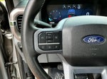 2025 F-150 Thumbnail 14