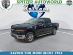 2025 F-150 Thumbnail 4