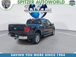 2025 F-150 Thumbnail 9