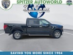 2025 F-150 Thumbnail 10