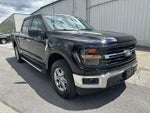 2025 F-150 Thumbnail 11