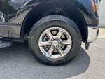 2025 F-150 Thumbnail 20