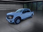 2025 F-150 Thumbnail 4