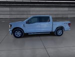 2025 F-150 Thumbnail 5