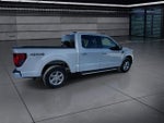 2025 F-150 Thumbnail 8