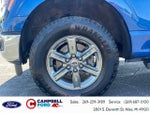 2025 F-150 Thumbnail 10