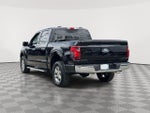 2025 F-150 Thumbnail 4