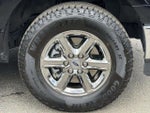 2025 F-150 Thumbnail 8