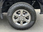 2025 F-150 Thumbnail 9