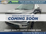 2025 F-150 Thumbnail 1