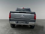 2025 F-150 Thumbnail 8