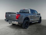 2025 F-150 Thumbnail 9