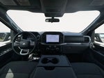 2025 F-150 Thumbnail 11