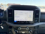 2025 F-150 Thumbnail 14