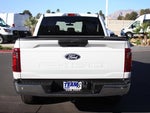 2025 F-150 Thumbnail 7