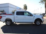 2025 F-150 Thumbnail 10