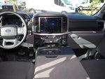2025 F-150 Thumbnail 18