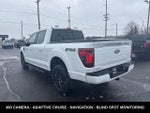 2024 F-150 Thumbnail 7
