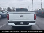 2024 F-150 Thumbnail 8