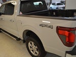 2024 F-150 Thumbnail 5