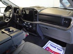 2024 F-150 Thumbnail 10