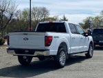 2024 F-150 Thumbnail 4