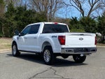 2024 F-150 Thumbnail 8