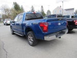 2024 F-150 Thumbnail 5
