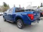 2024 F-150 Thumbnail 9
