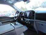 2024 F-150 Thumbnail 10