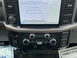 2024 F-150 Thumbnail 18