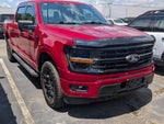 2024 F-150 Thumbnail 5