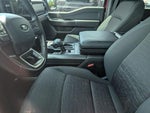 2024 F-150 Thumbnail 8