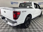 2025 F-150 Thumbnail 4