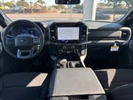 2025 F-150 Thumbnail 11