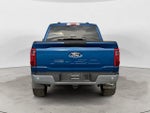 2025 F-150 Thumbnail 6