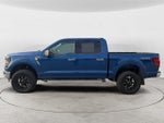 2025 F-150 Thumbnail 8