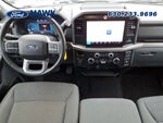 2025 F-150 Thumbnail 9