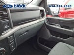2025 F-150 Thumbnail 19