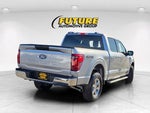2025 F-150 Thumbnail 4