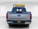 2025 F-150 Thumbnail 5